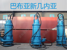 110千瓦潛水抽砂泵，漂洋過(guò)海到巴新